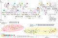 Dna study of avar ceme